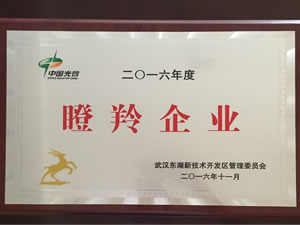 武汉77779193永利光电入选光谷2016年“瞪羚企业”
